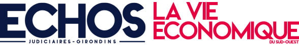 Les Echos - La vie économique